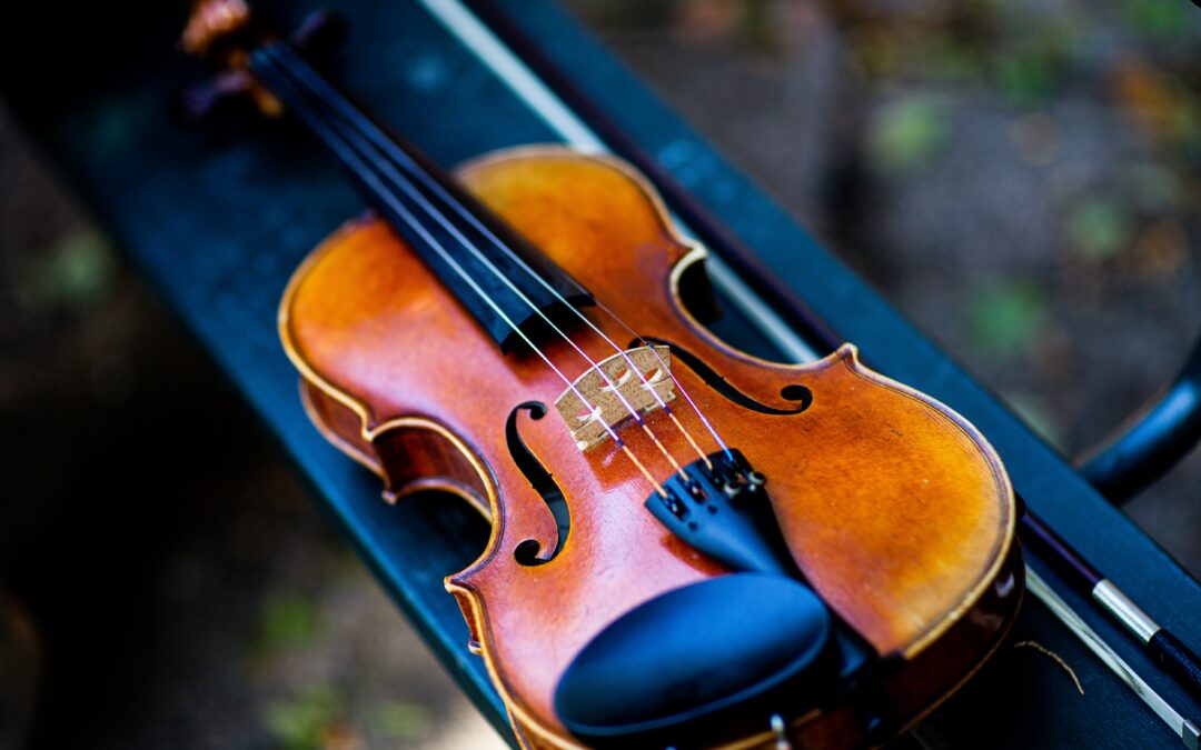 Tonholz für Cello, Geige und Viola
