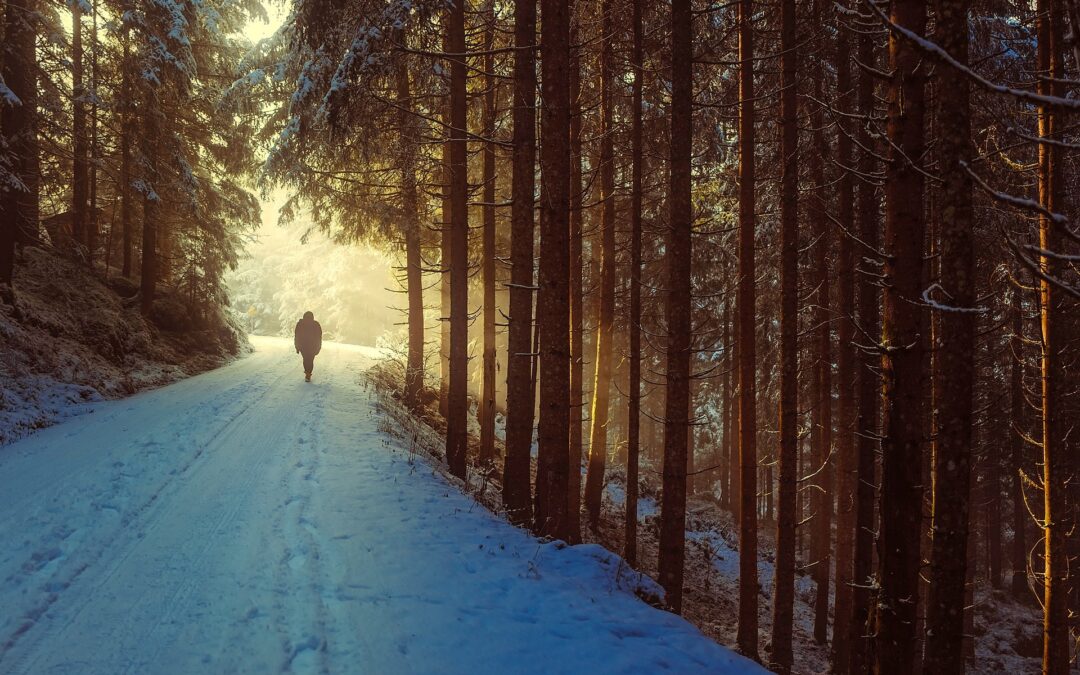 Wanderung – KÖLBL Aktiv