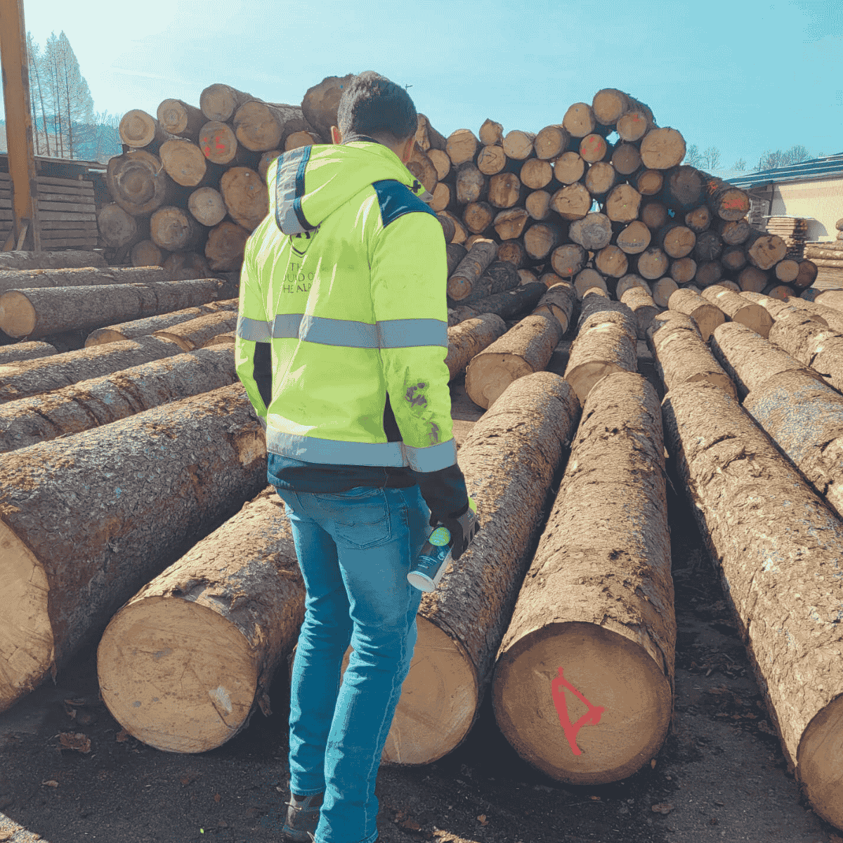 Qualität von Anfang an KÖLBL European Tonewood